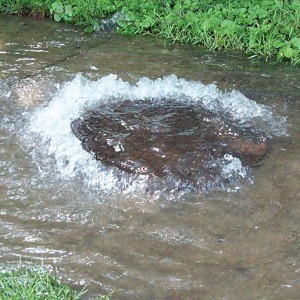 Szivattyúzás