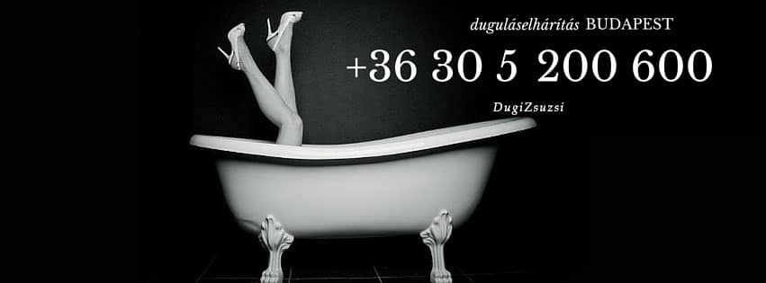 Duguláselhárítás blog, Facebook/DugiZsuzsi