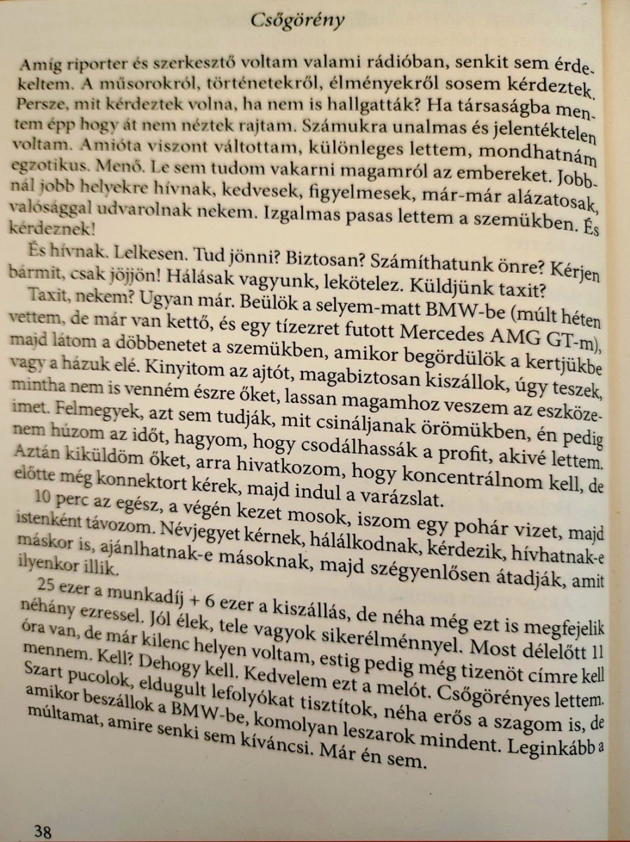 Befalazott csőgörény (2023)